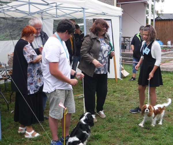 KV 2020-I, 11.7.2020, Městec Králové